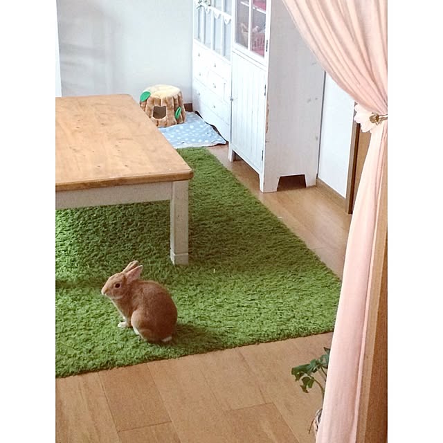 MIKIKO.3さんの実例写真