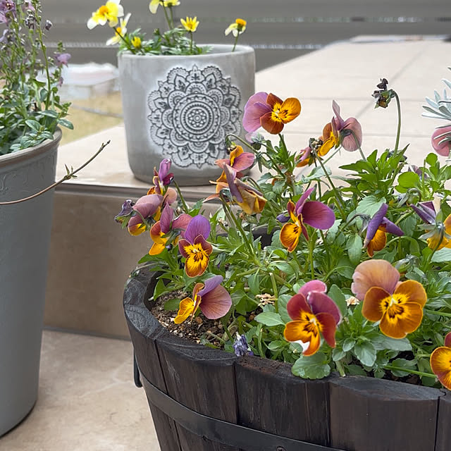 miyu39さんの部屋