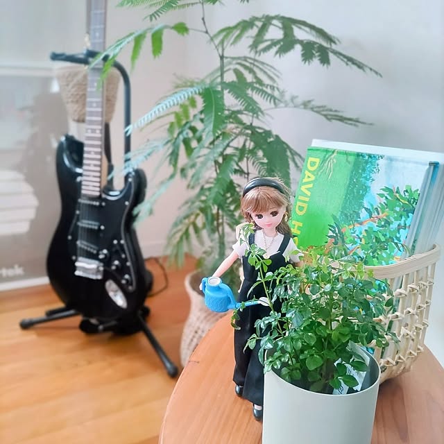 Haさんの実例写真