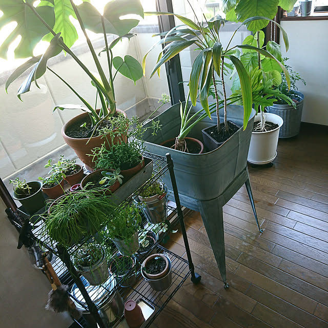 Kさんの実例写真