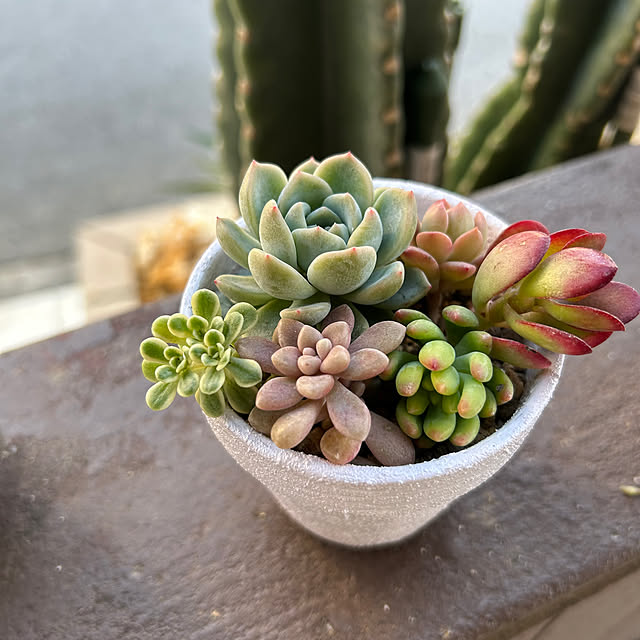 yuipyappさんの部屋