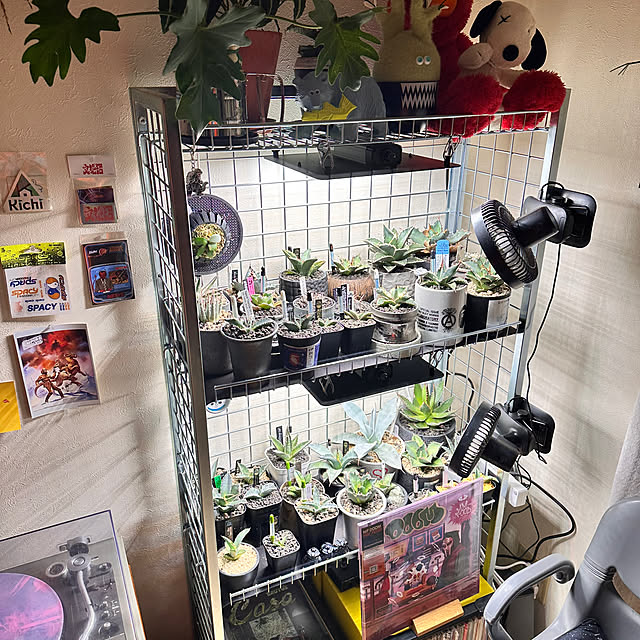 floydさんの部屋