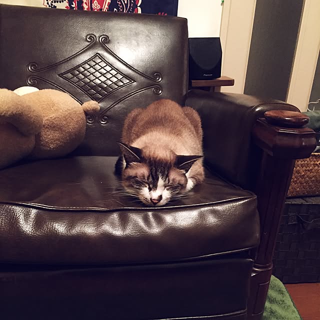 bowbowcoさんの実例写真