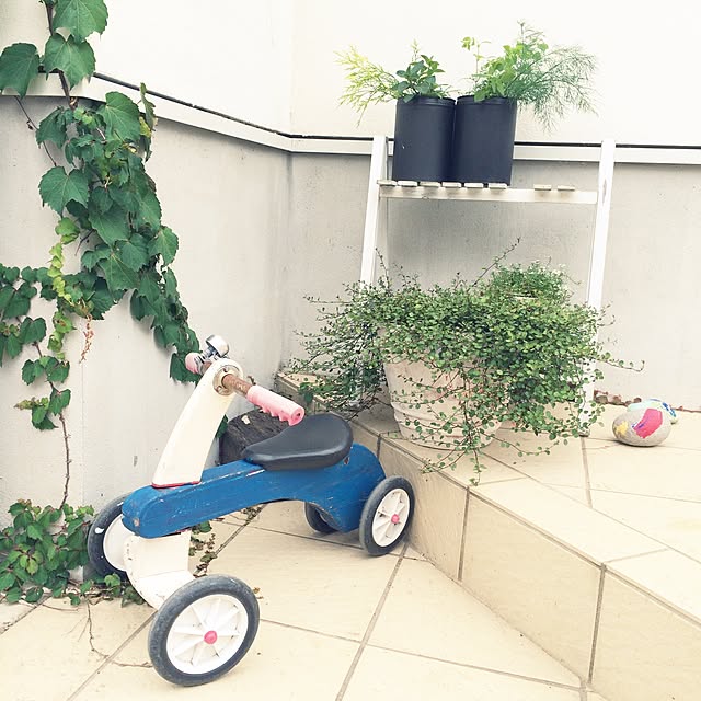 yoko.aikawaさんの実例写真