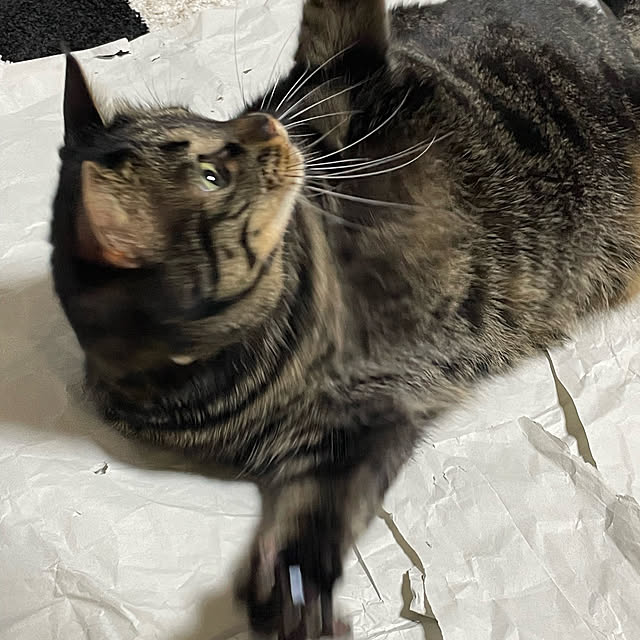 momocchiさんの部屋