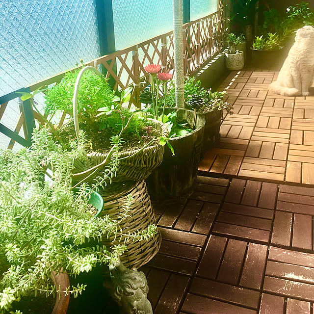 naokoさんの部屋
