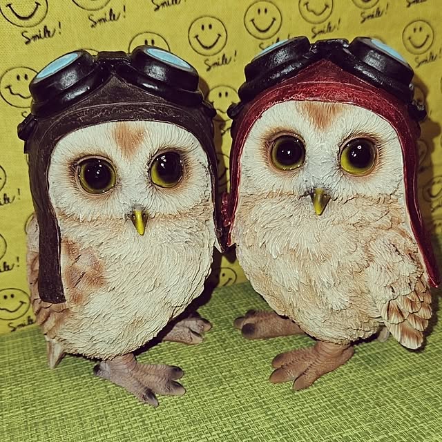 mocomocoさんの実例写真