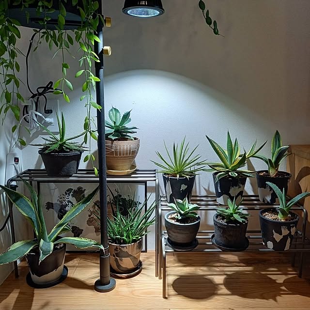 Rさんの部屋