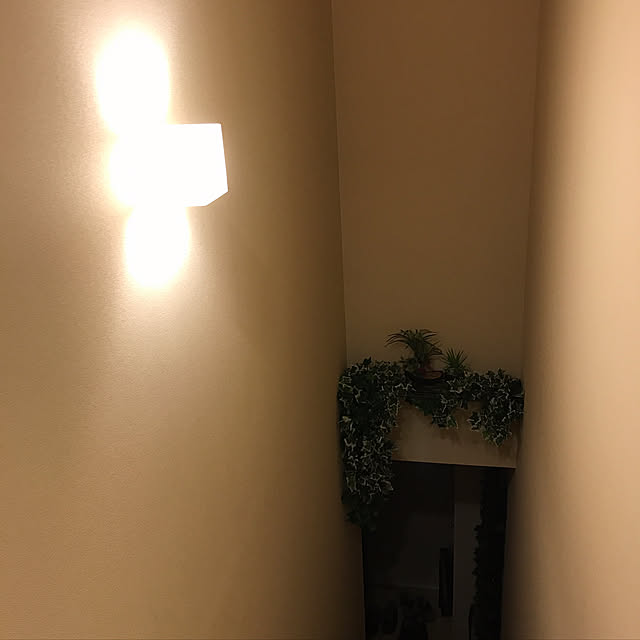more.fieldさんの実例写真
