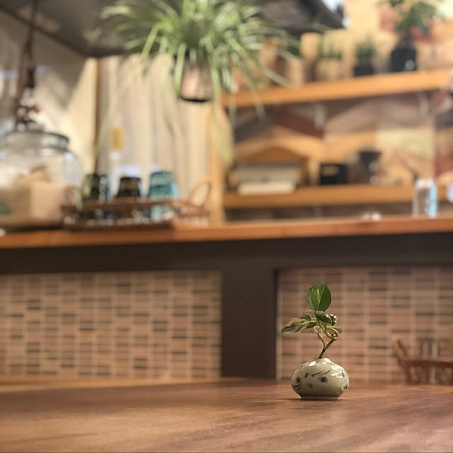 takakoさんの実例写真
