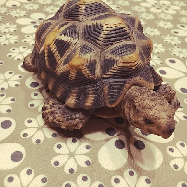 bu3さんの実例写真