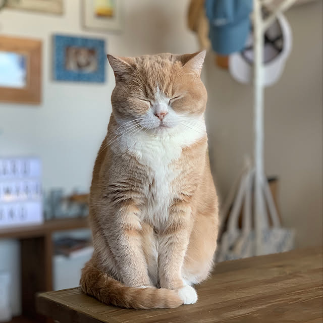 maruさんの実例写真