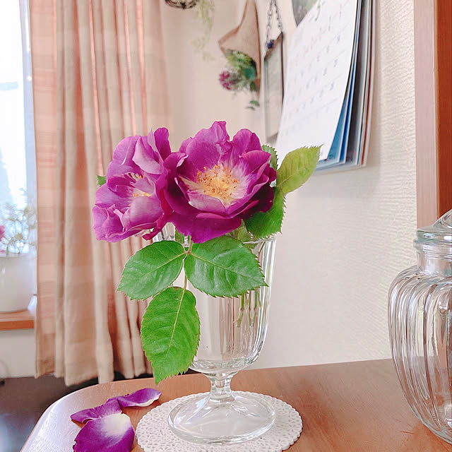 sophiaさんの実例写真