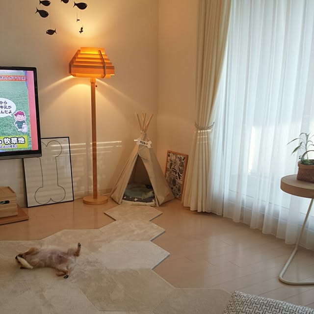 haruhinaさんの実例写真