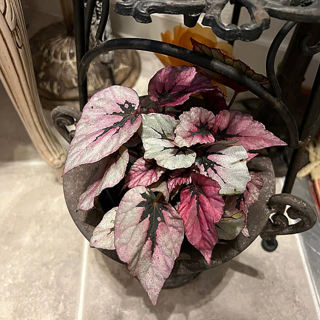 AYUKOさんの実例写真