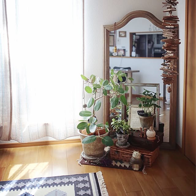hanayuriさんの実例写真