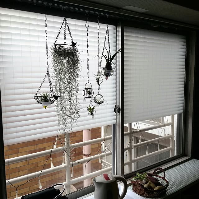 Neruさんの実例写真