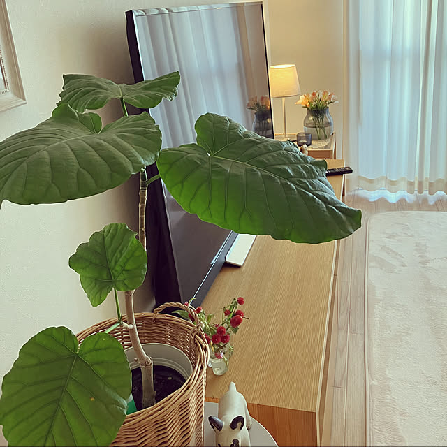 keimamさんの実例写真