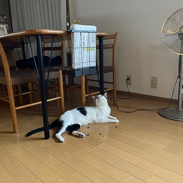 nobikoさんの部屋