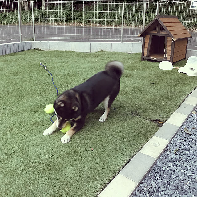 ernさんの実例写真