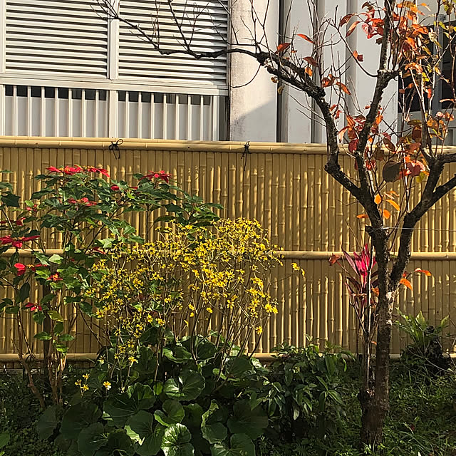 piiyanさんの部屋