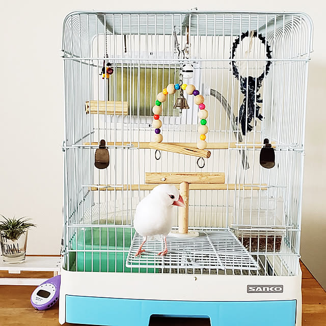 sumireさんの実例写真