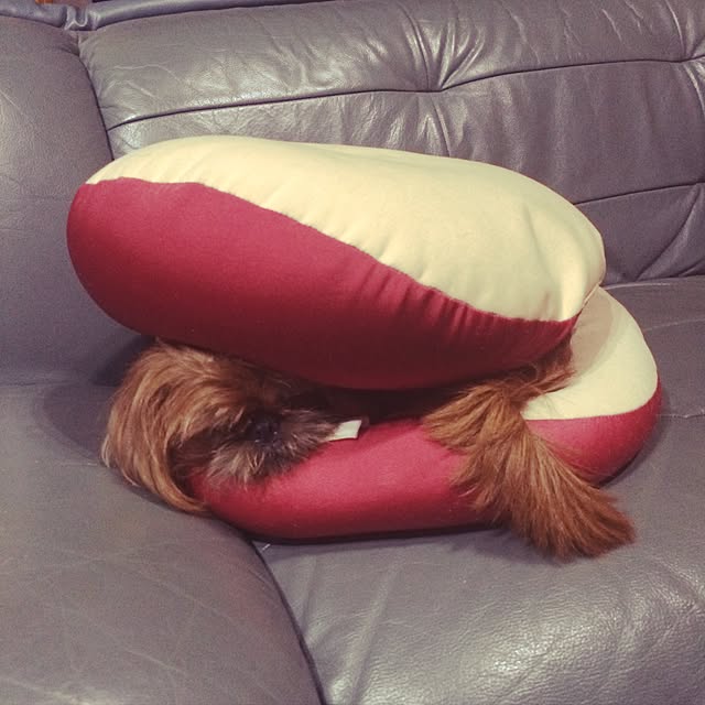 honnyさんの実例写真