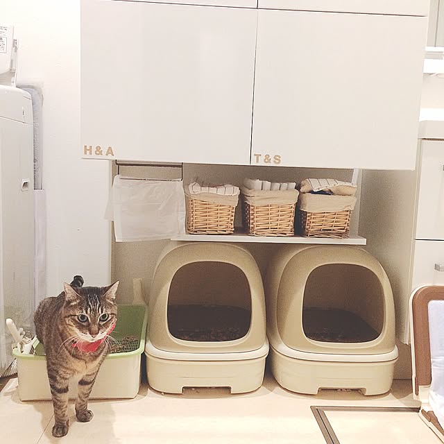 lovecatさんの実例写真