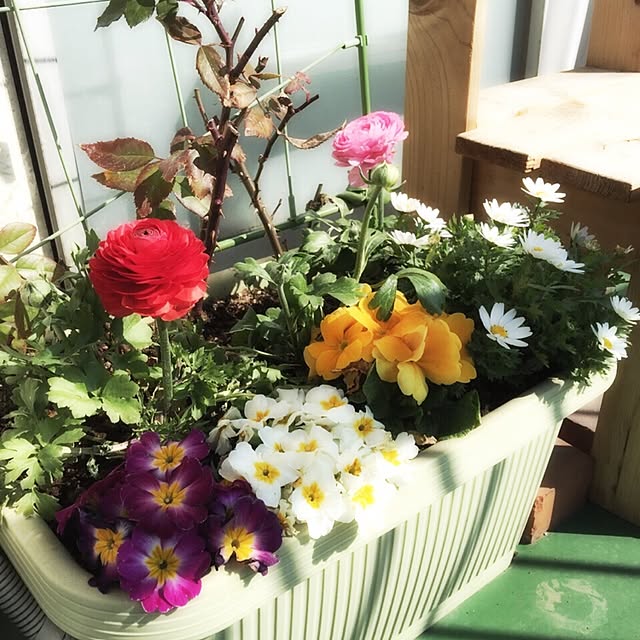 shigekoさんの実例写真
