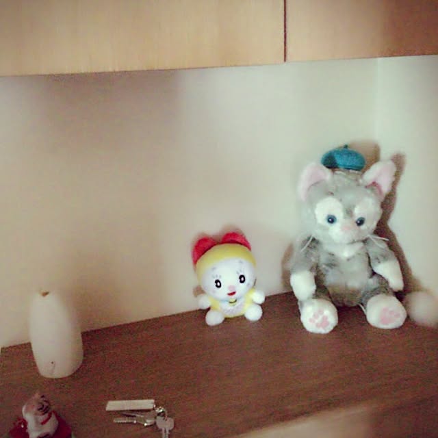 Rumiさんの実例写真
