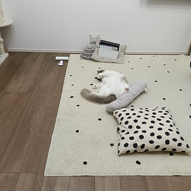 ouchi__...さんの実例写真