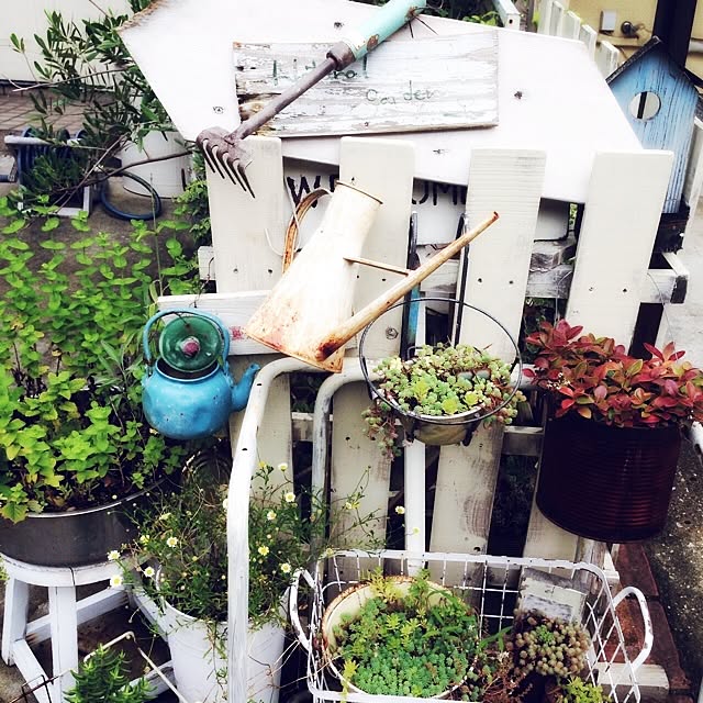 tynmr.0603さんの実例写真