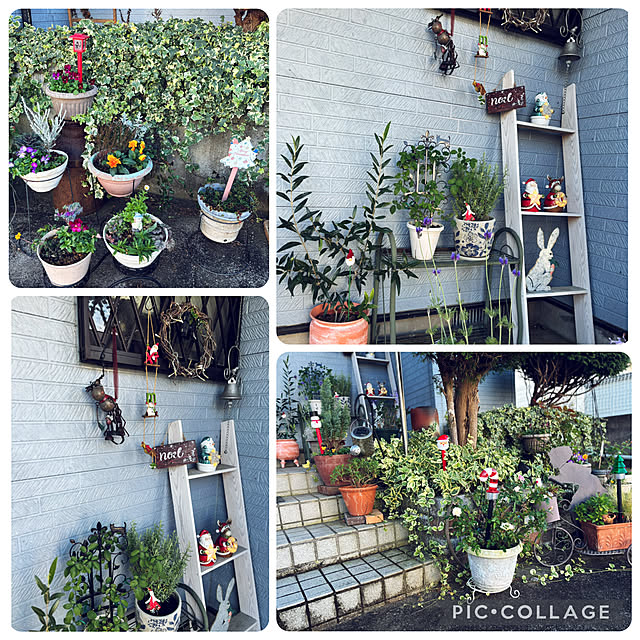 CoCo0617さんの部屋