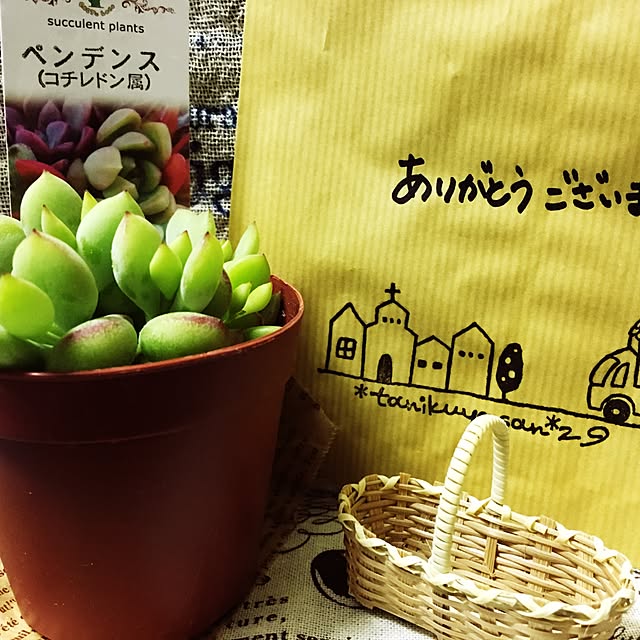 maemuki_lifeさんの実例写真