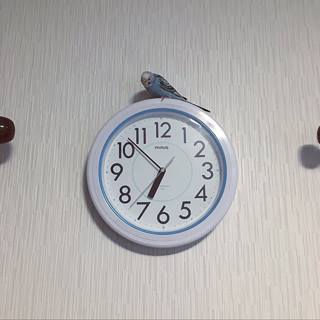 リビング/RoomClipアンケートのインテリア実例 - 2019-11-03 16:35:15