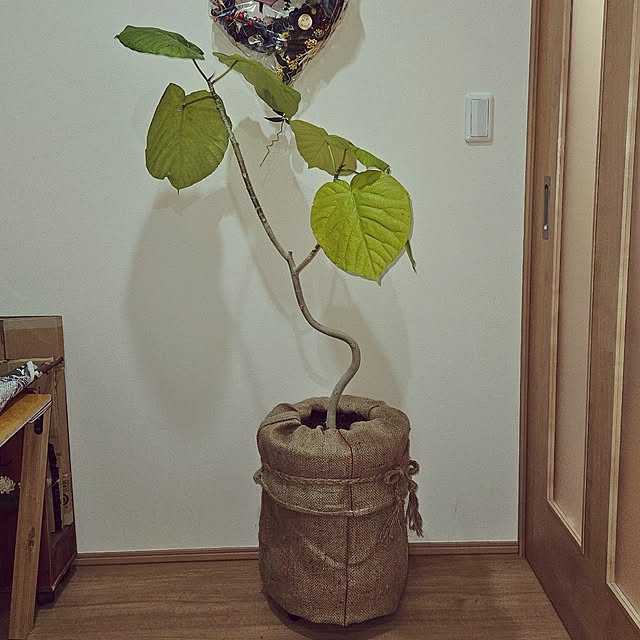 mocomocoさんの実例写真