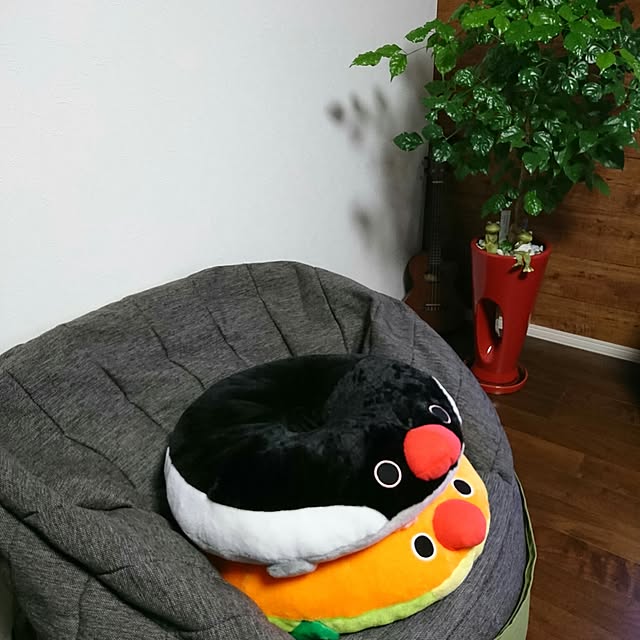 kzkimuraさんの実例写真