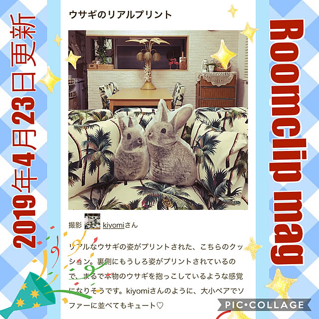 kiyomiさんの実例写真