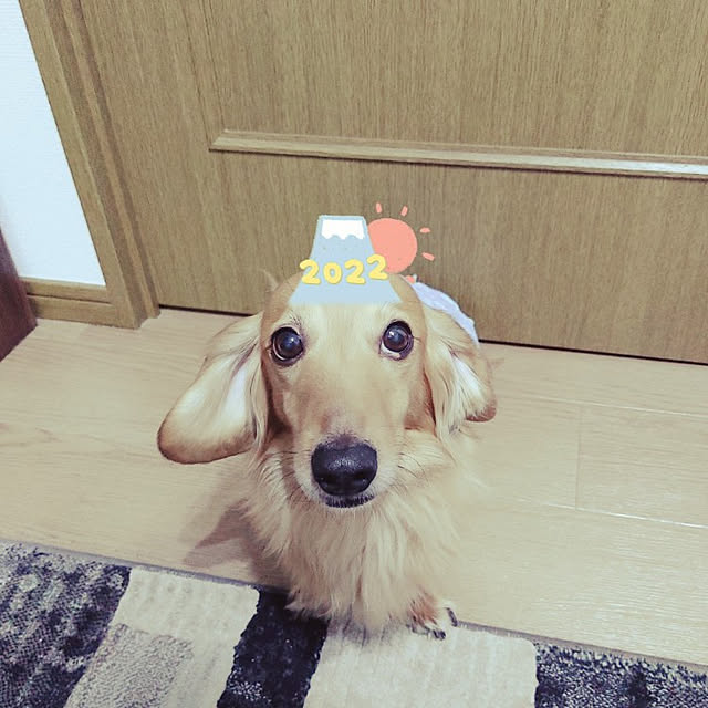 okanさんの実例写真