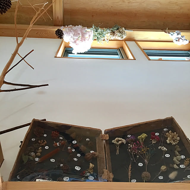 kozakura10さんの実例写真