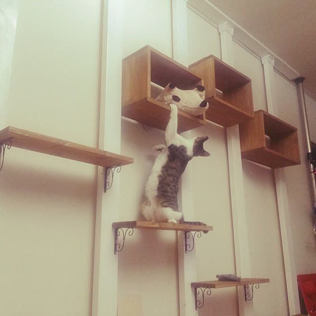 nanaさんの実例写真
