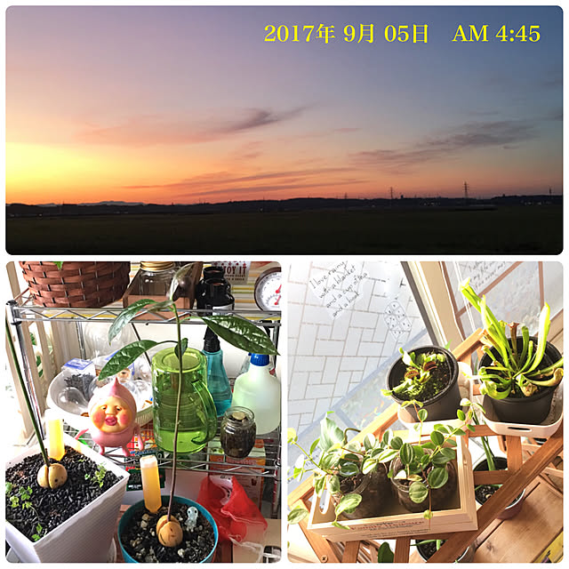 Satoshiさんの実例写真