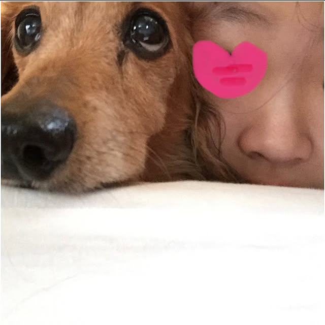 chachamamaさんの部屋