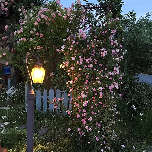 shigimiさんの実例写真