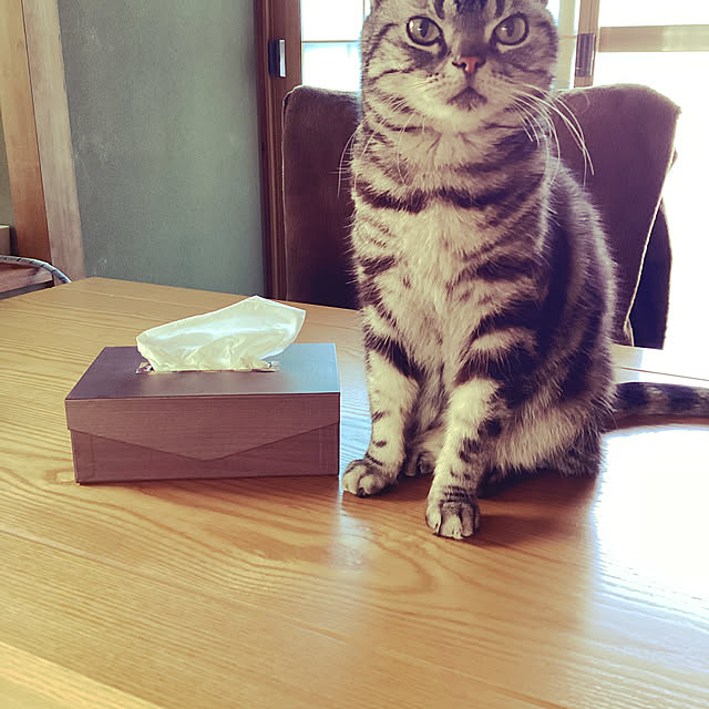 richanさんの実例写真