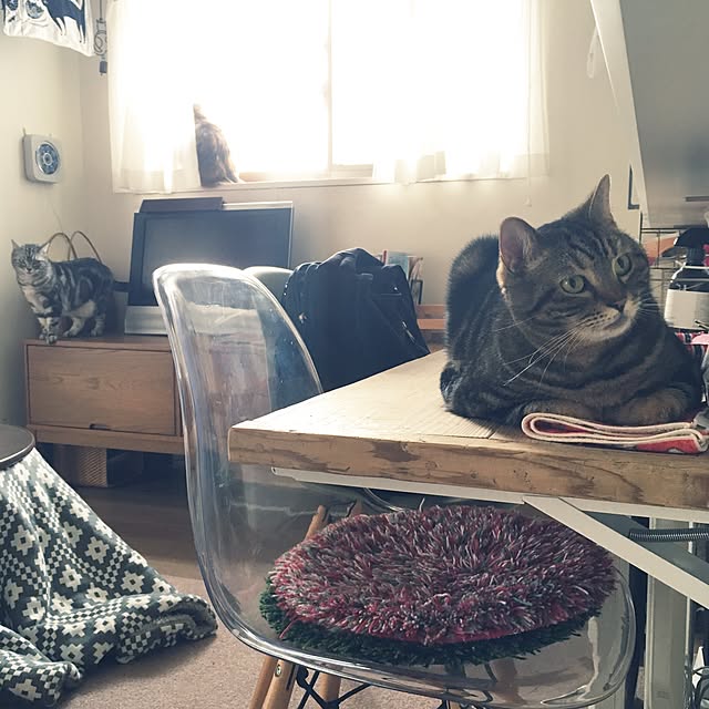 mikomaruさんの実例写真