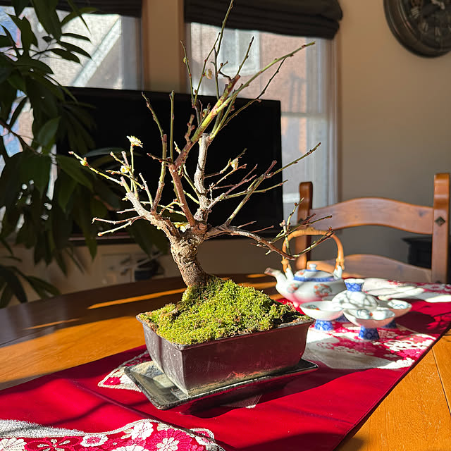 sachieyさんの部屋