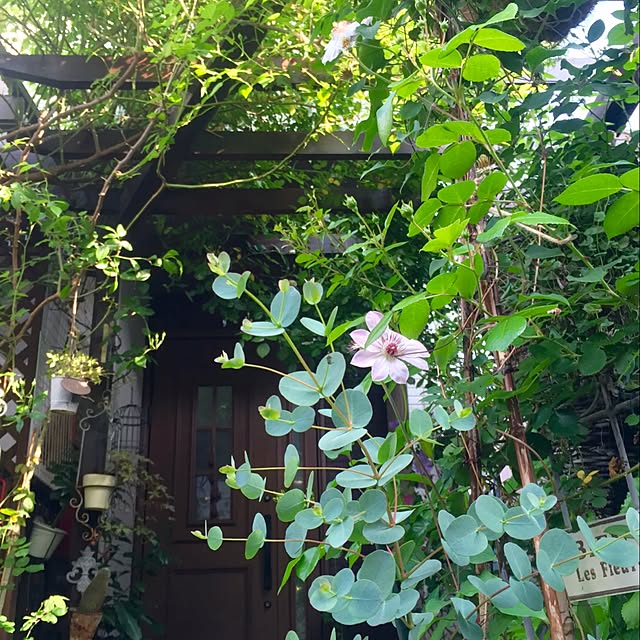 butachanさんの実例写真