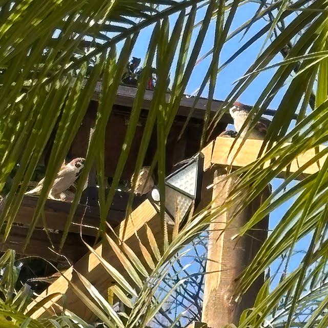 bonber0212さんの実例写真