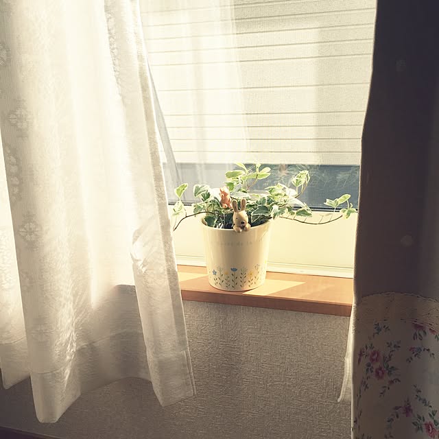 kokemomoさんの実例写真